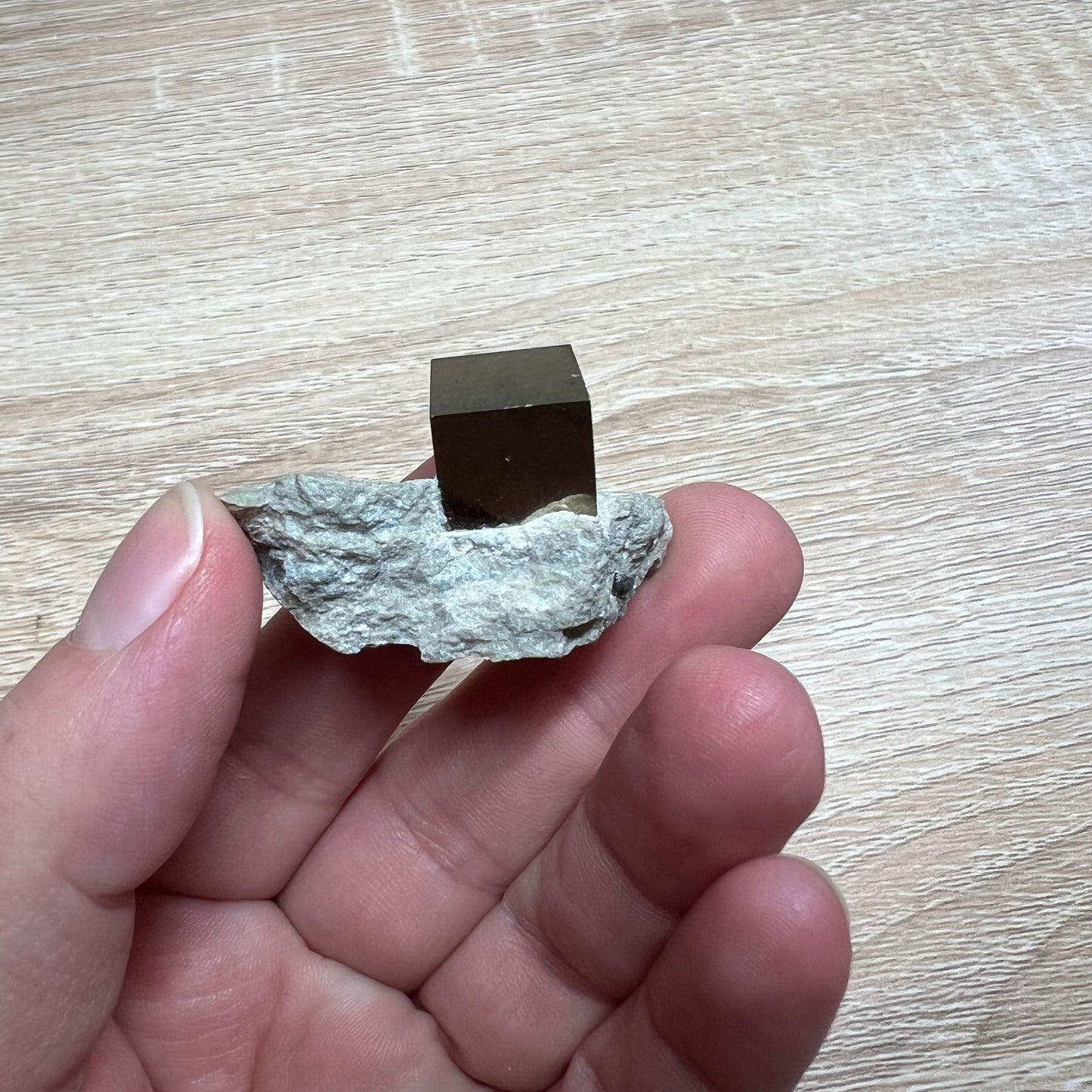 Pyrite Cube in Matrix 53B