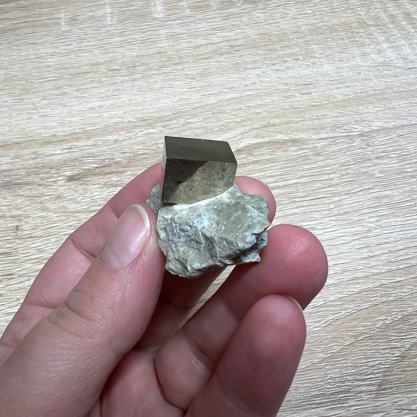 Pyrite Cube in Matrix 53B