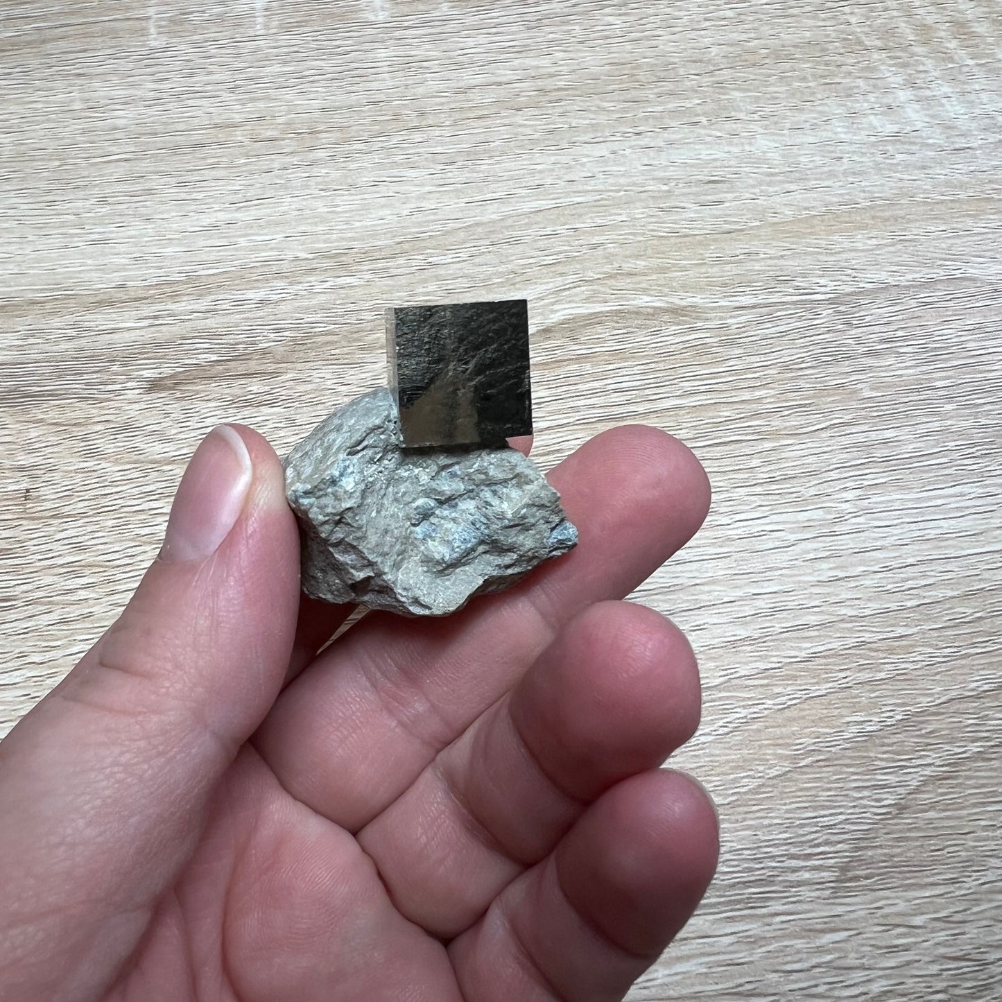 Pyrite Cube in Matrix 53D