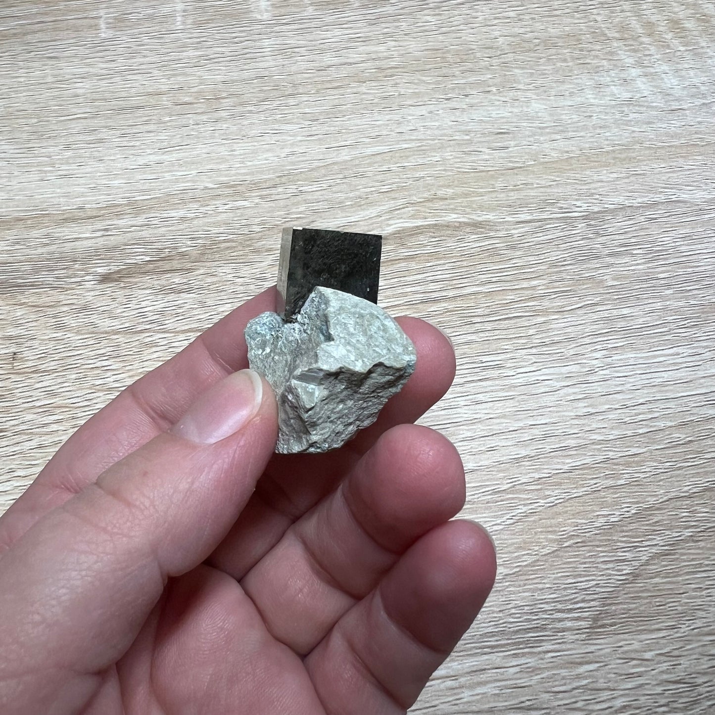 Pyrite Cube in Matrix 53D