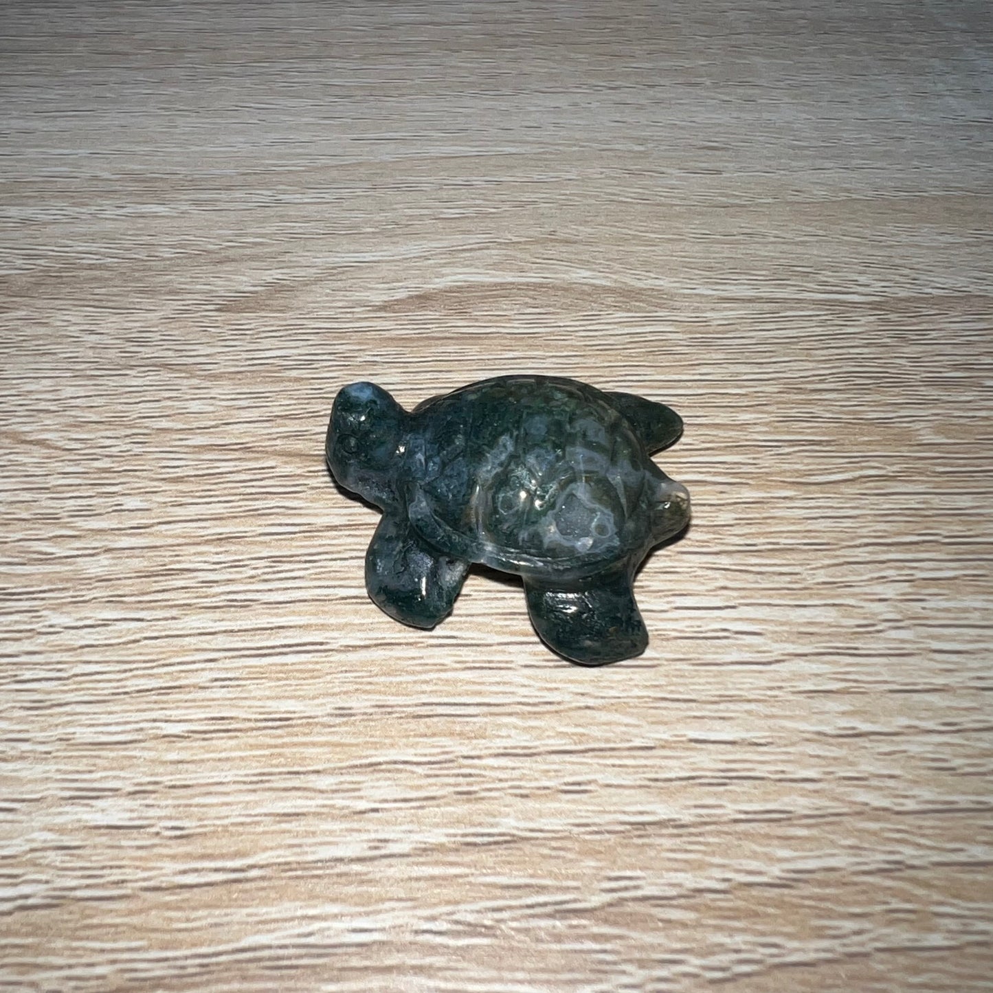 Moss Agate Sea Turtle 18A
