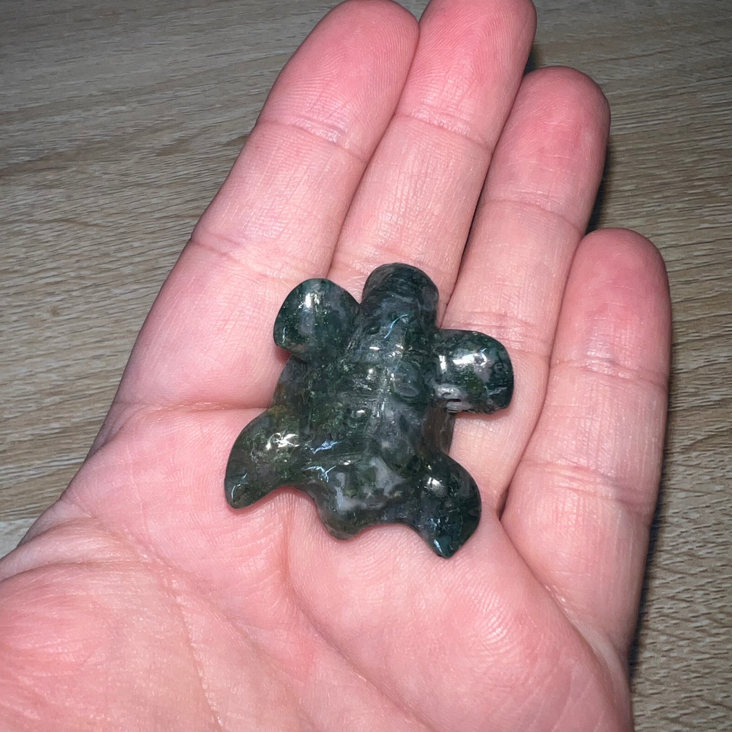 Moss Agate Sea Turtle 18A
