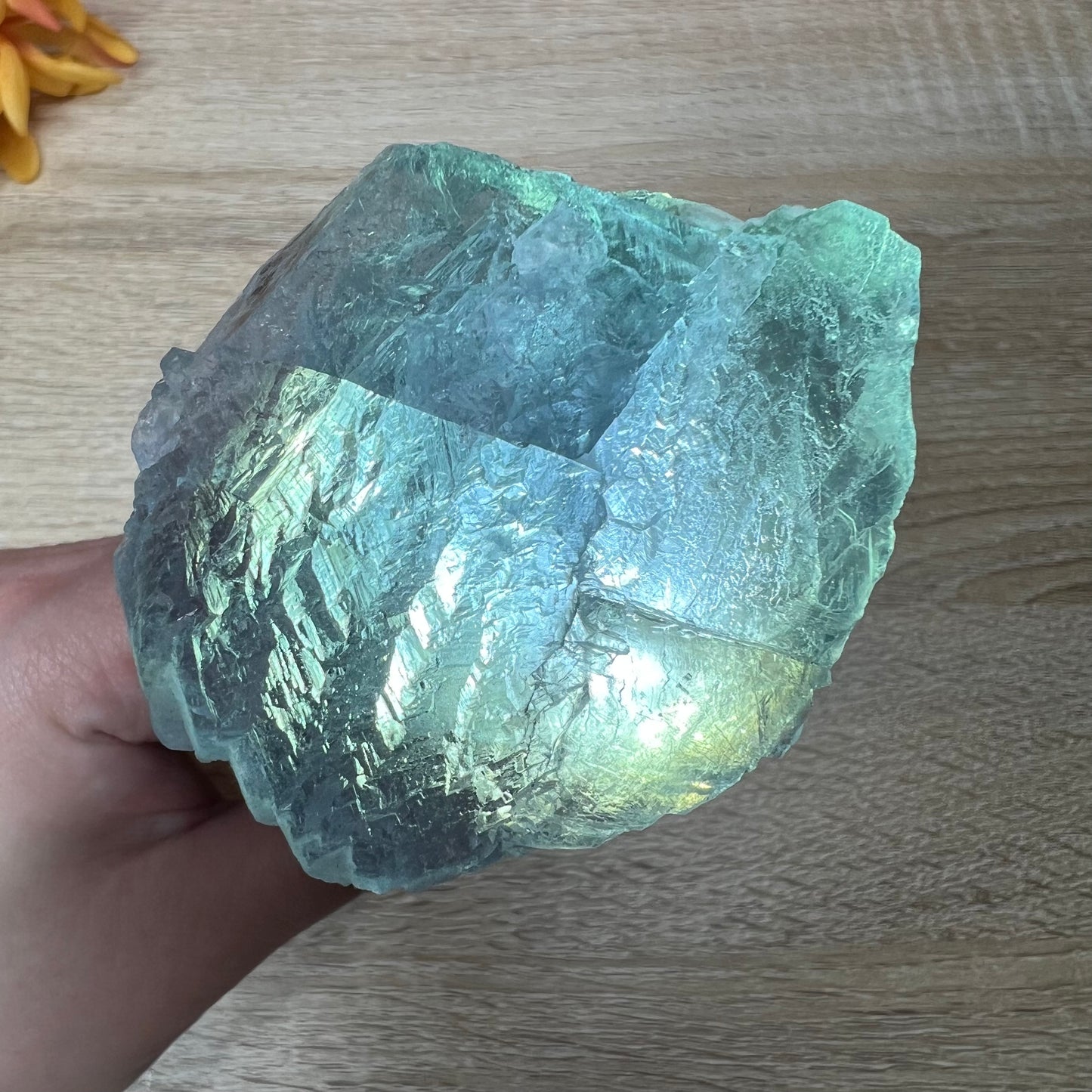 Raw Blue Fluorite Chunk 26A