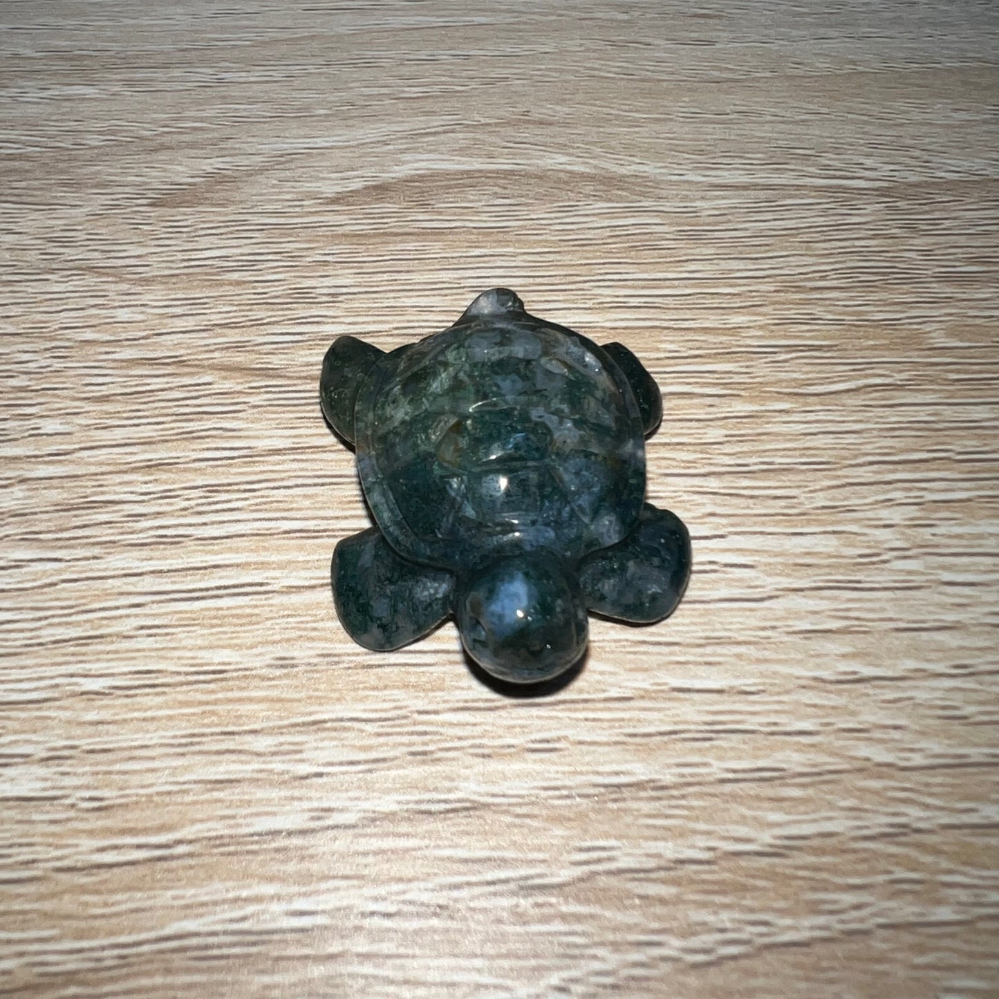 Moss Agate Sea Turtle 18A
