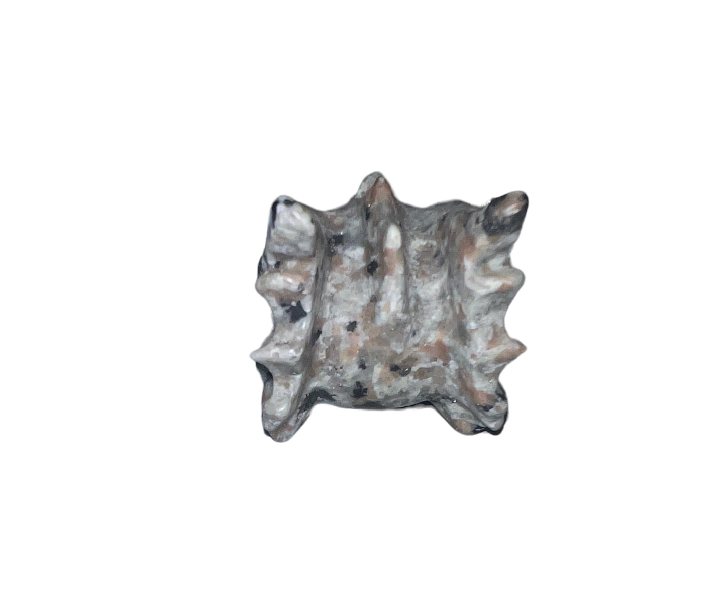 Yooperlite Dragon Head