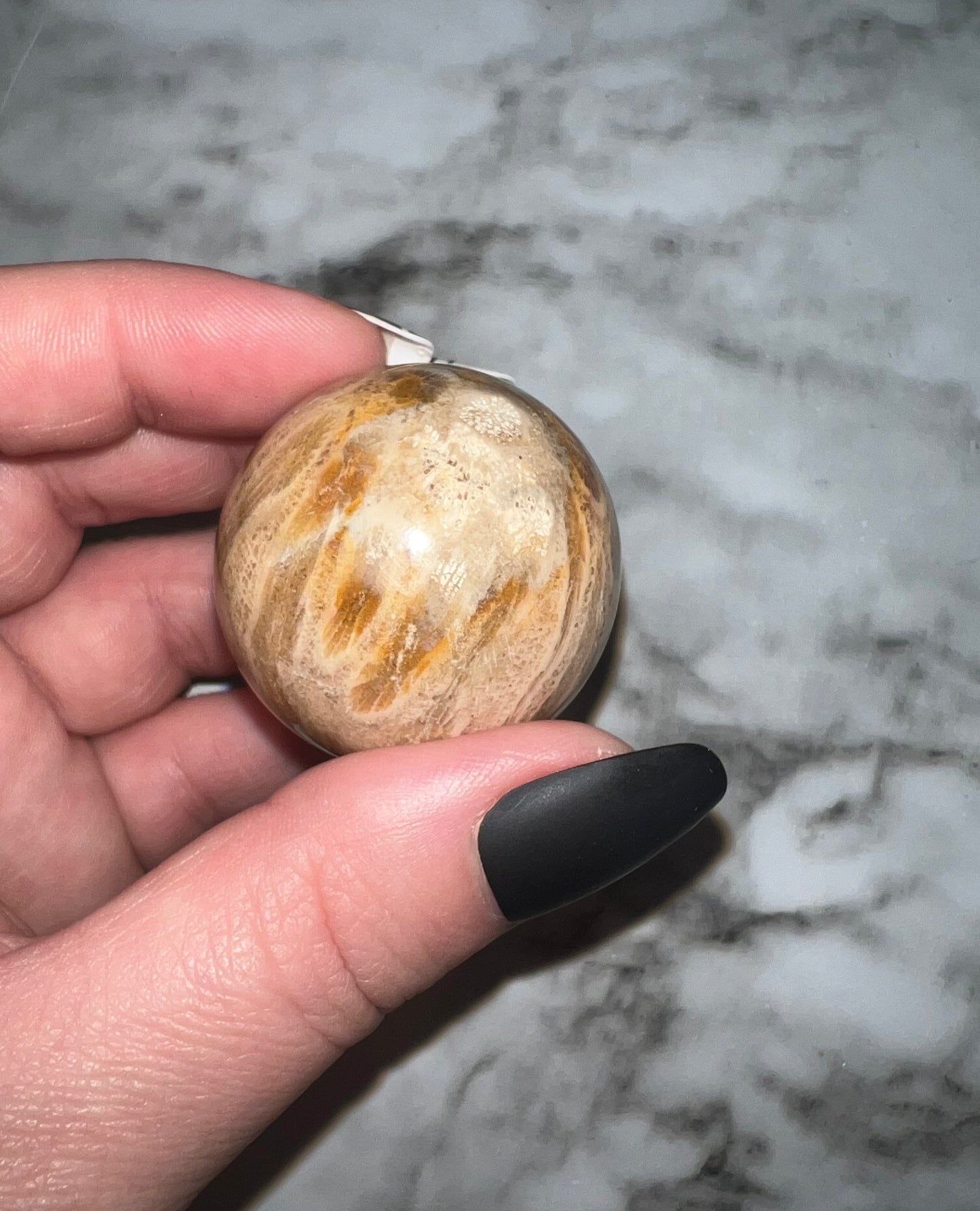 Fossil Coral Sphere 35A