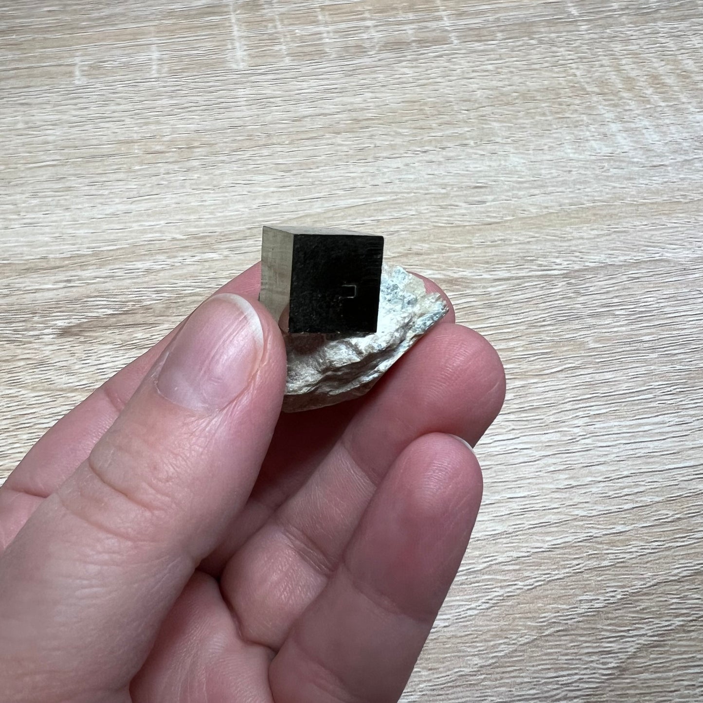 Pyrite Cube in Matrix 53C