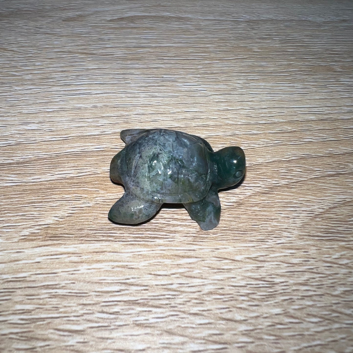 Moss Agate Sea Turtle 18F