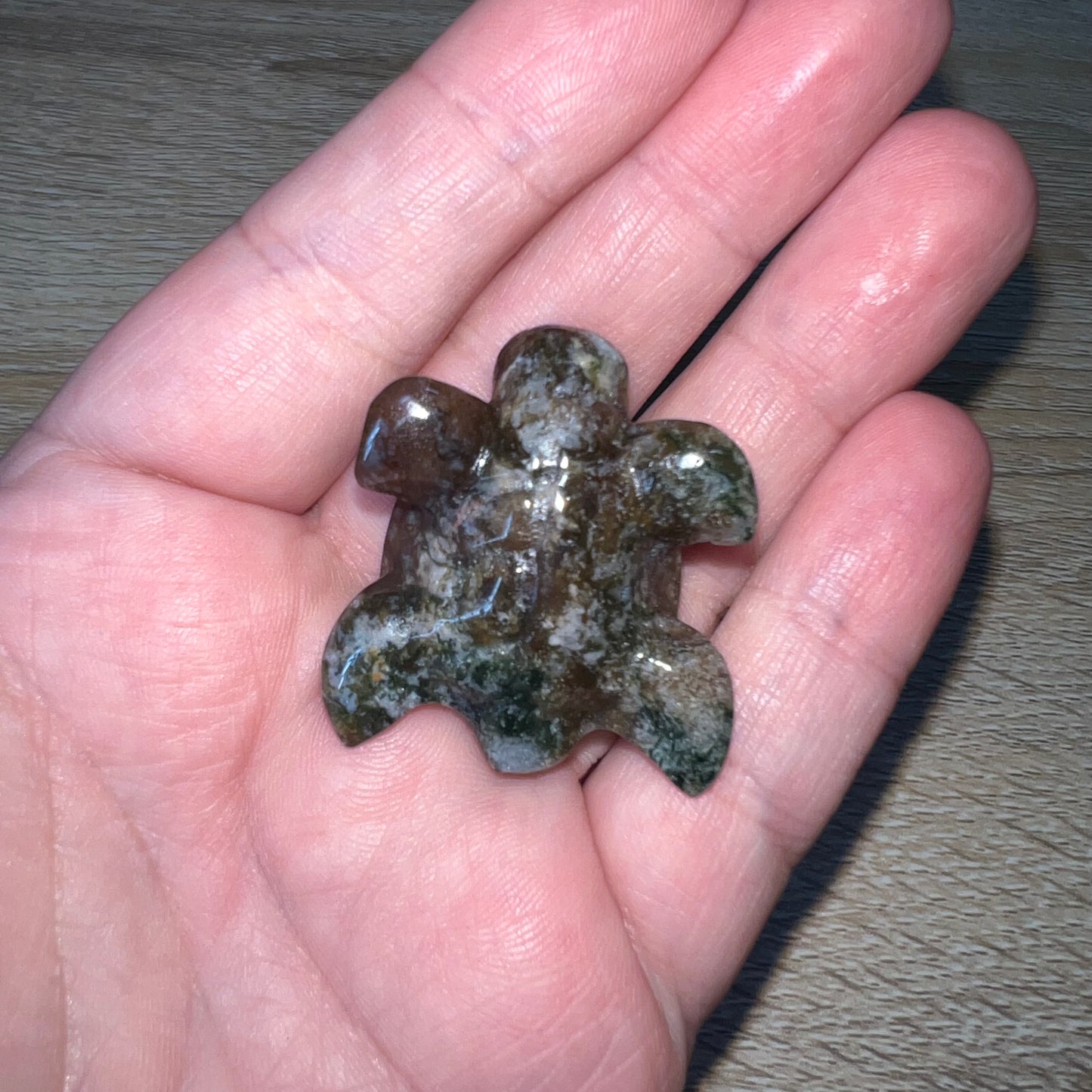 Moss Agate Sea Turtle 18C