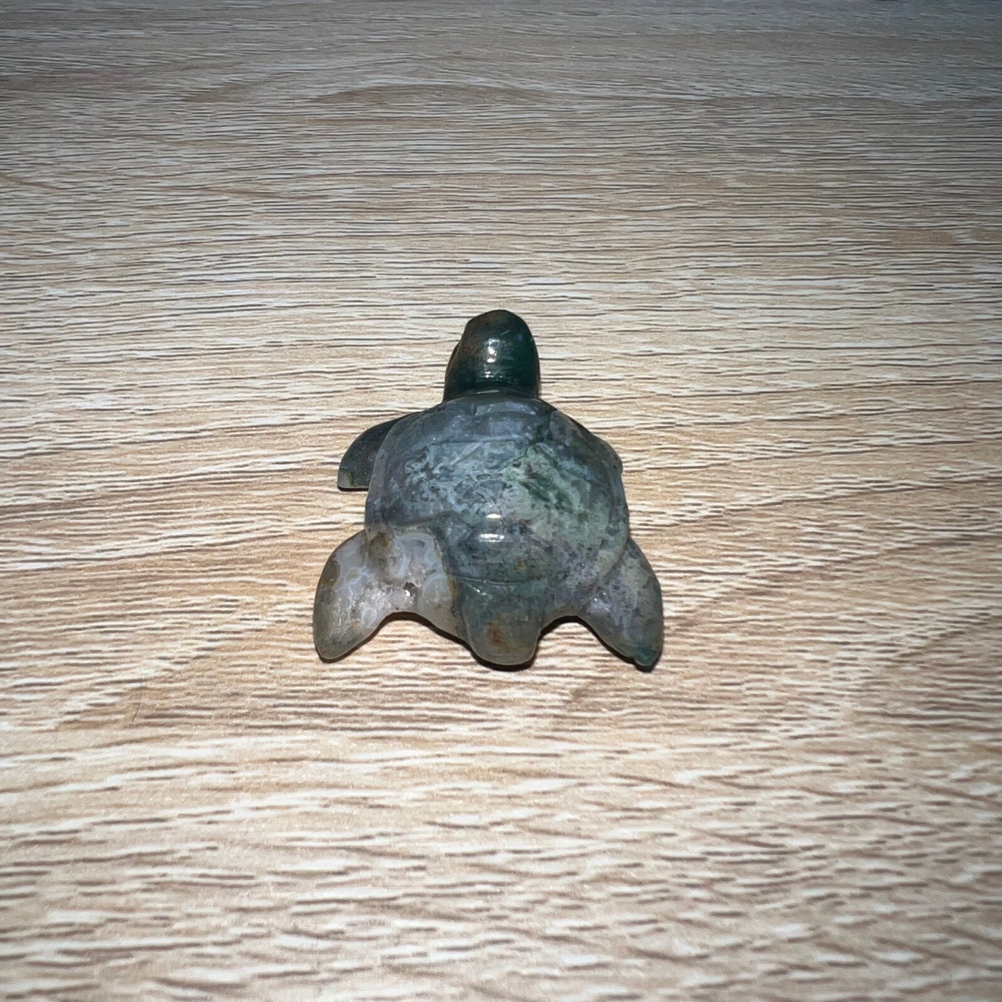 Moss Agate Sea Turtle 18F