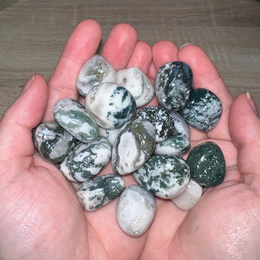 Tree Agate Tumbled Stone