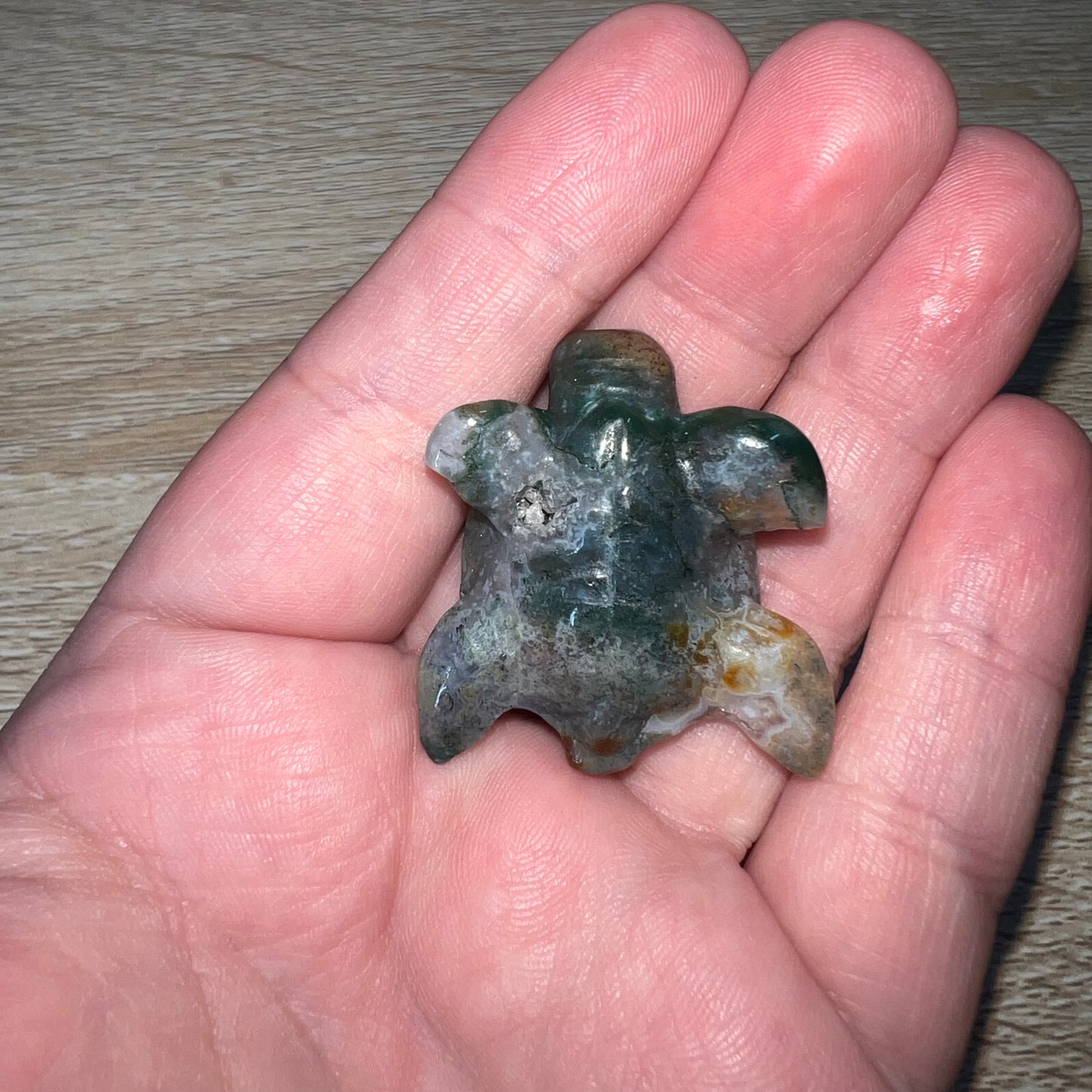 Moss Agate Sea Turtle 18F