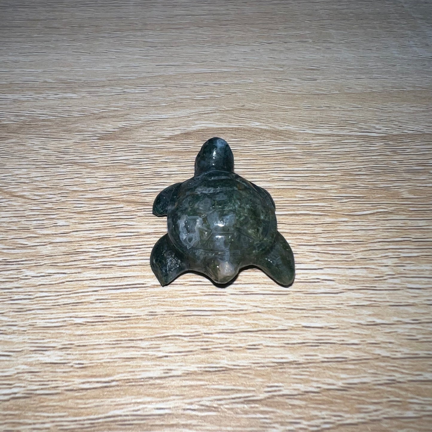 Moss Agate Sea Turtle 18A
