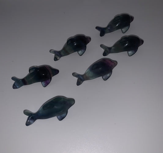 Fluorite Mini Dolphin