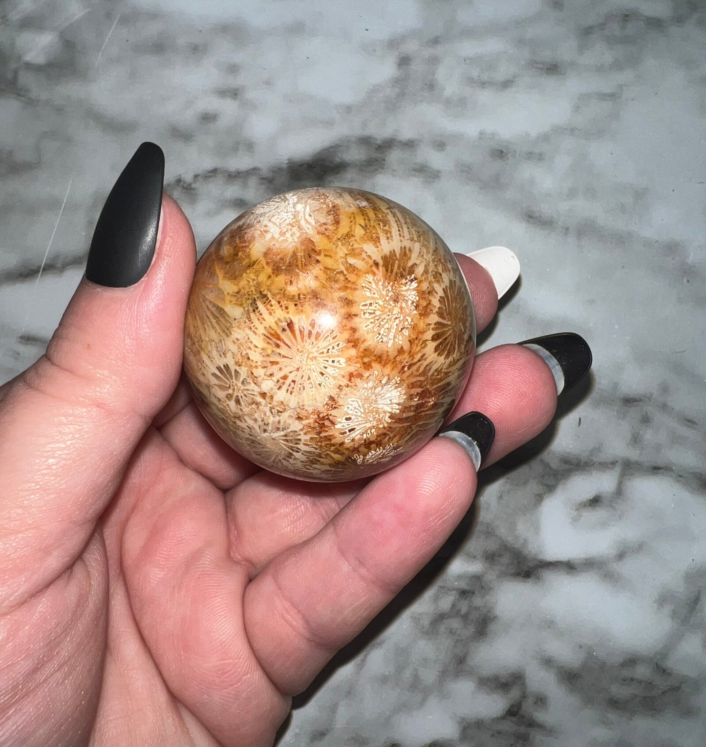 Fossil Coral Sphere 41B