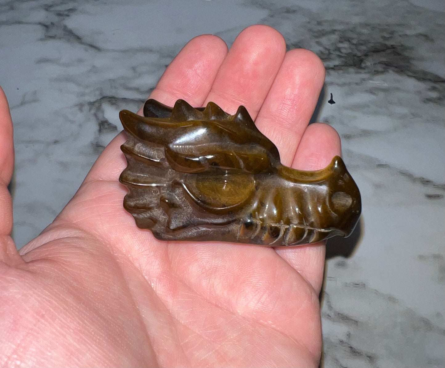 Tiger’s Eye Dragon Head