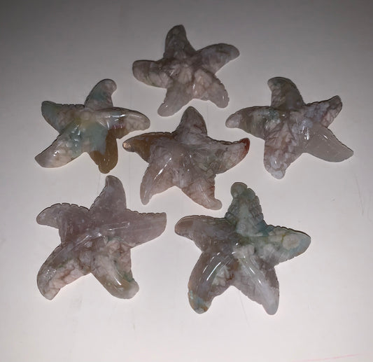 Flower Agate Starfish