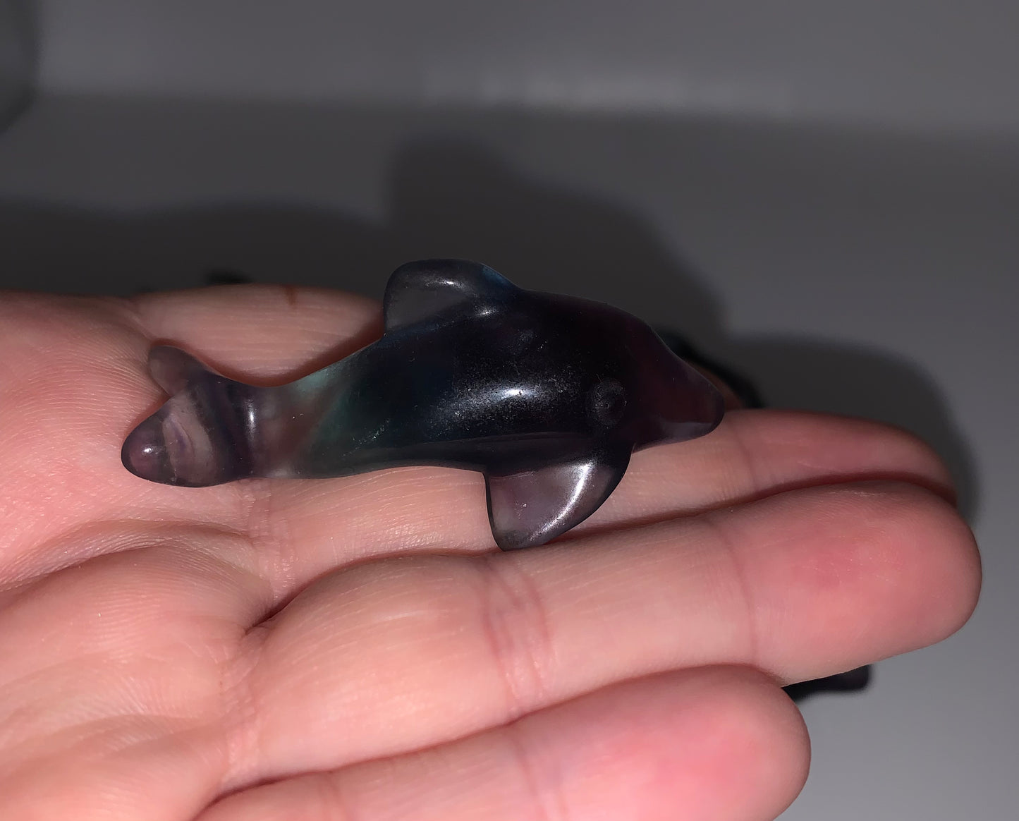 Fluorite Mini Dolphin