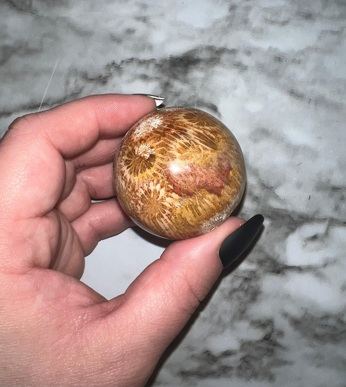 Fossil Coral Sphere 41B