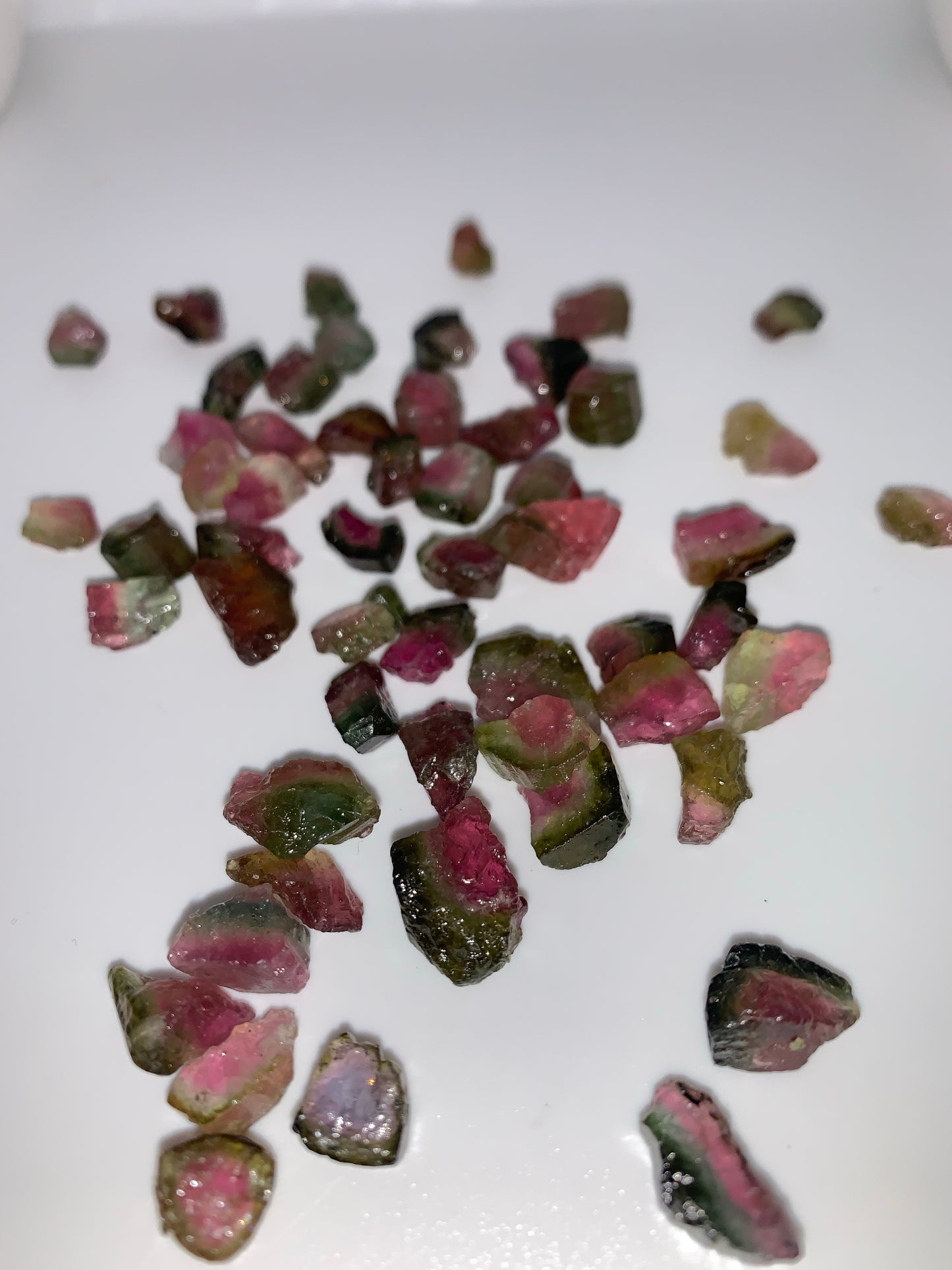 Watermelon Tourmaline (5 pieces)